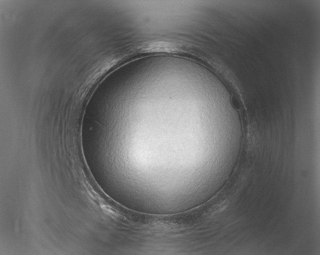 X0000077980529200611031402