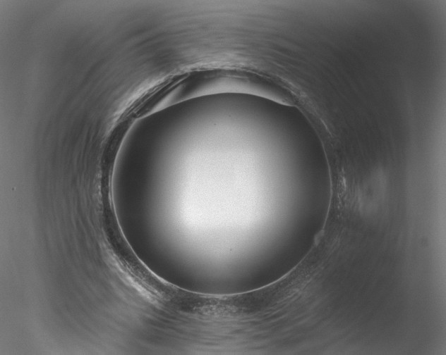 X0000077980535200611031402