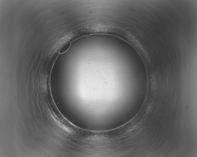 X0000077980537200611031402