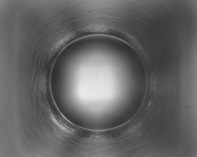 X0000077980538200611031402