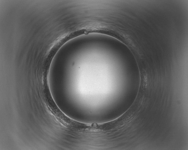 X0000077980539200611031402