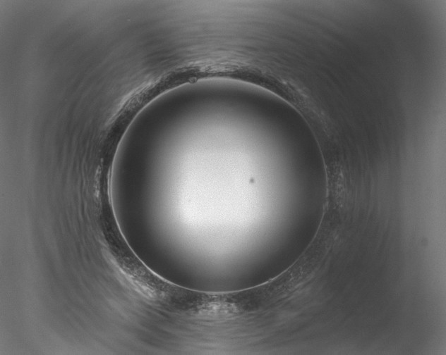 X0000077980543200611031402