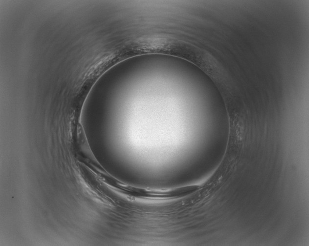 X0000077980546200611031402