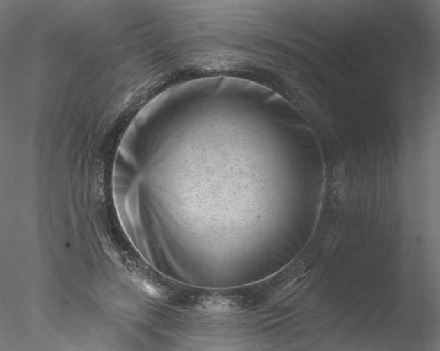 X0000077980547200611031402