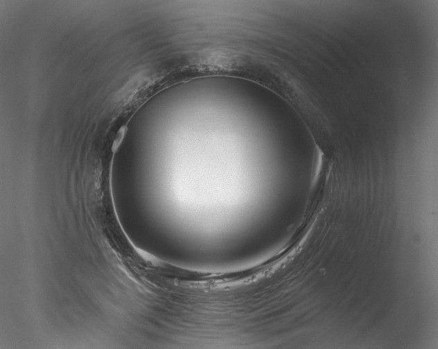 X0000077980548200611031402