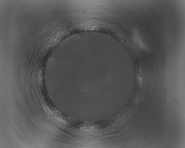 X0000077980551200611031402