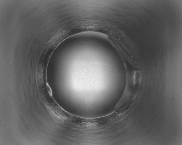 X0000077980552200611031402