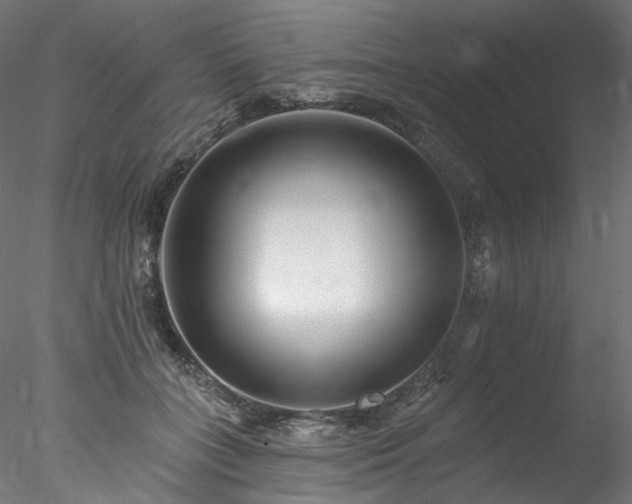X0000077980555200611031402