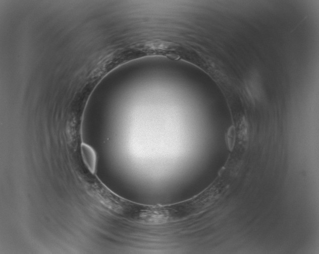 X0000077980559200611031402