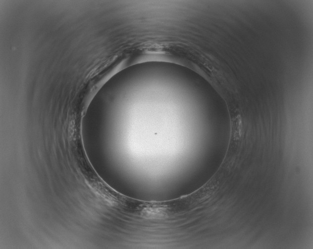 X0000077980560200611031402