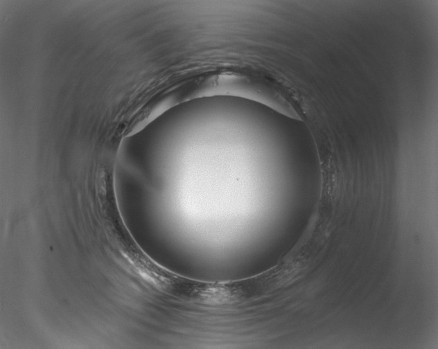 X0000077980562200611031402