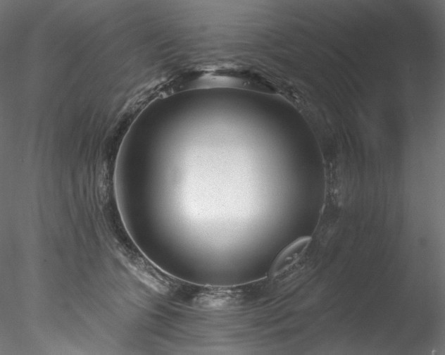 X0000077980563200611031402