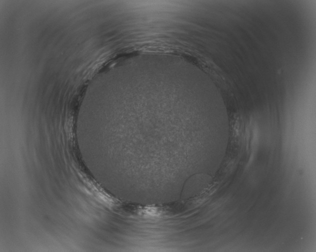 X0000077980565200611031402