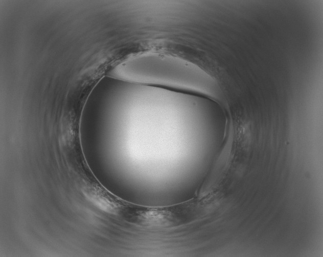 X0000077980566200611031402