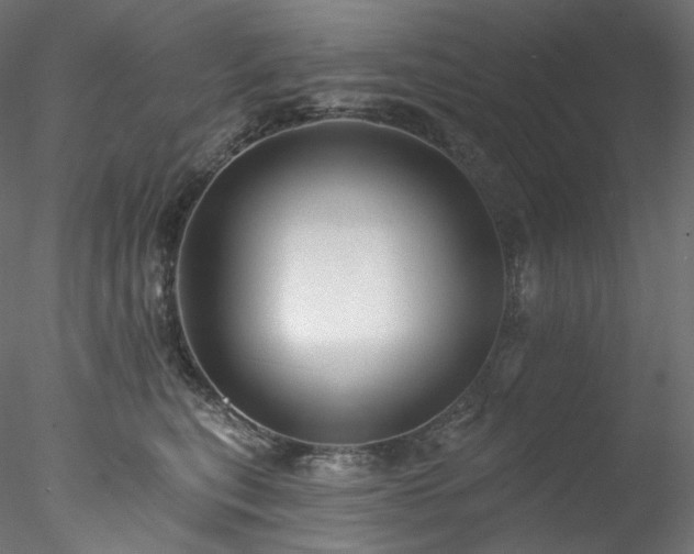 X0000077980567200611031402