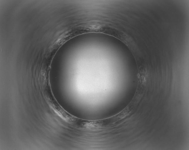 X0000077980568200611031402