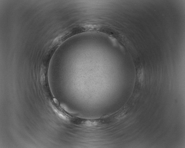 X0000077980570200611031402