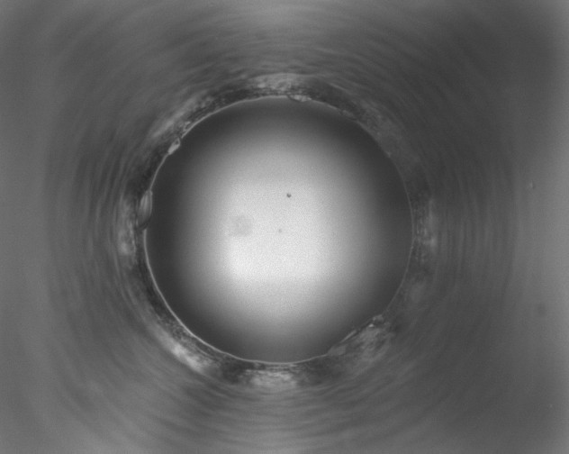 X0000077980572200611031402