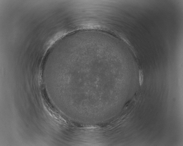 X0000077980579200611031402