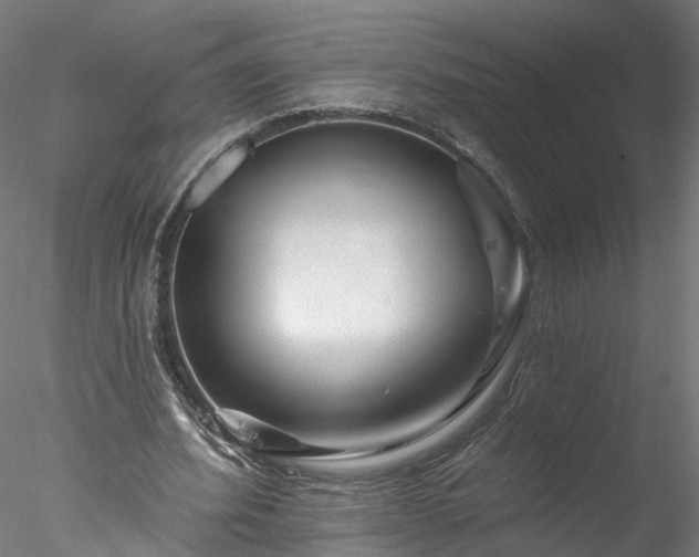 X0000077980580200611031402