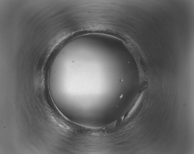 X0000077980584200611031402