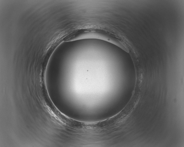 X0000077980585200611031402