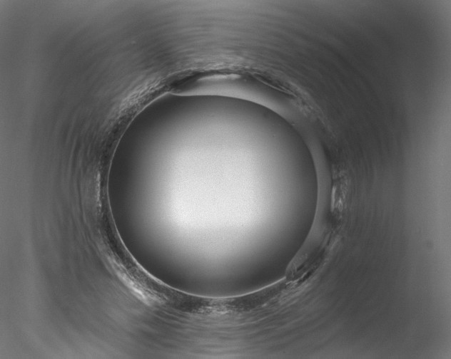 X0000077980589200611031402