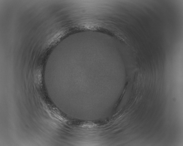 X0000077980595200611031401