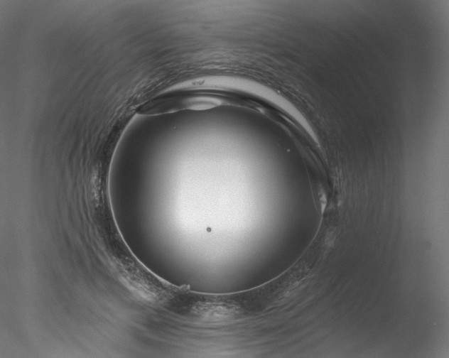 X0000077980597200611031401