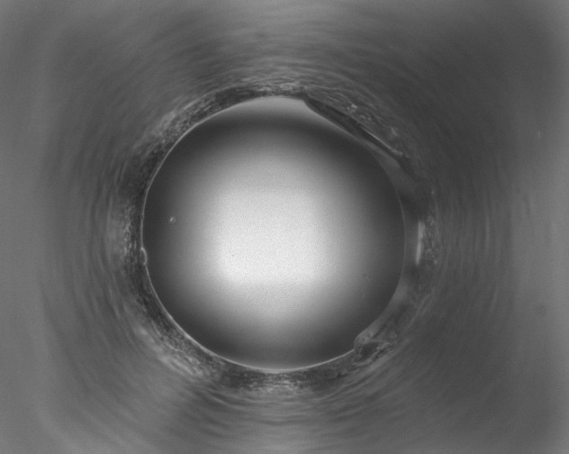 X0000077980600200611031401