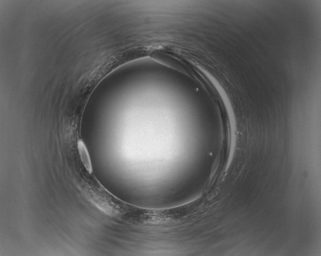 X0000077980601200611031401