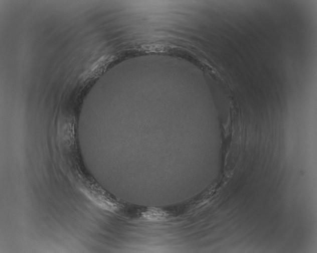 X0000077980603200611031401