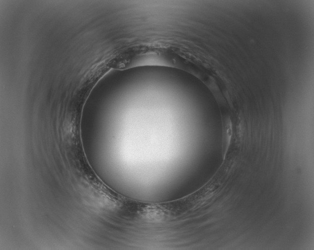 X0000077980608200611031401