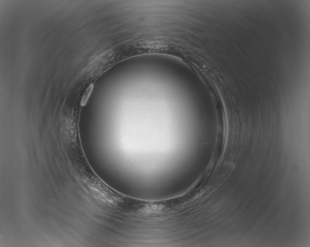 X0000077980609200611031401