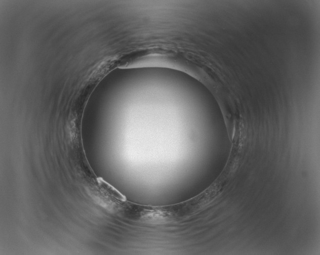 X0000077980611200611031401