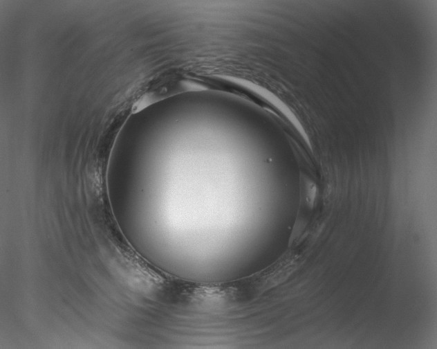 X0000077980613200611031401
