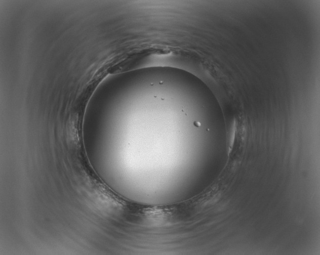 X0000077980616200611031401