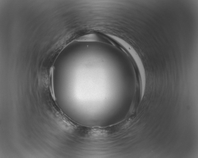 X0000077980617200611031401