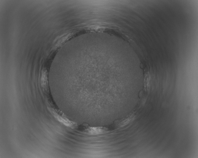 X0000077980623200611031401