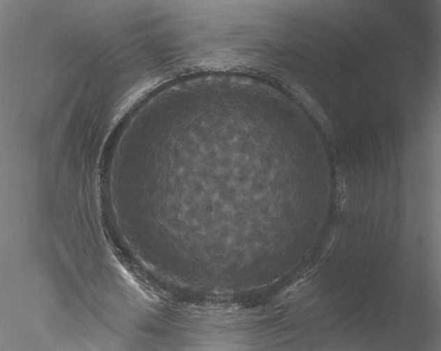 X0000077980626200611031400