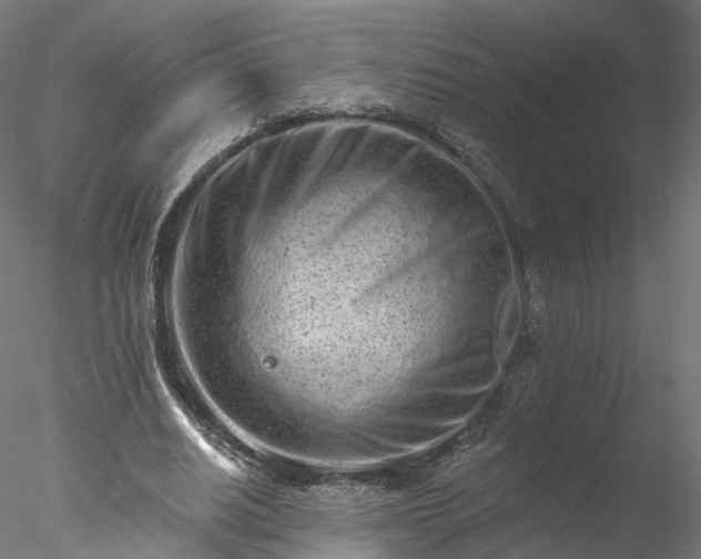 X0000077980630200611031400
