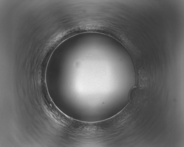 X0000077980631200611031400