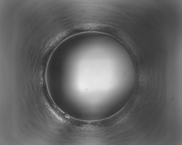 X0000077980633200611031400