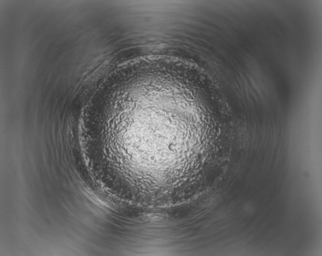 X0000077980654200611031401
