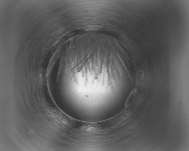X0000077980655200611031401