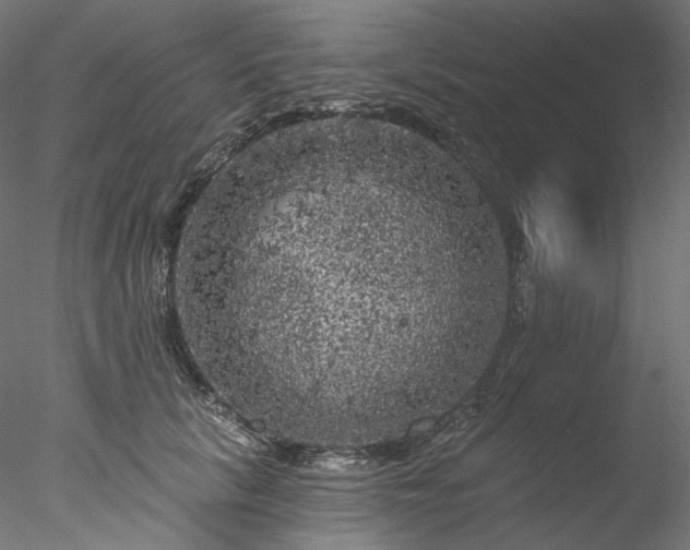 X0000077980657200611031401