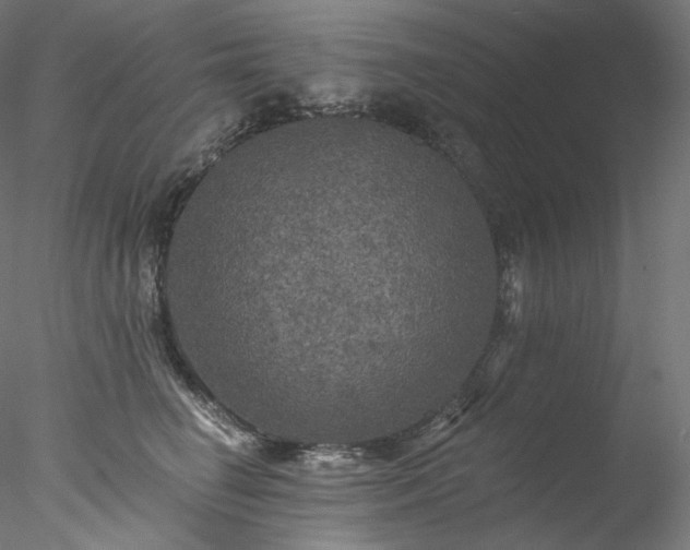 X0000077980662200611031401