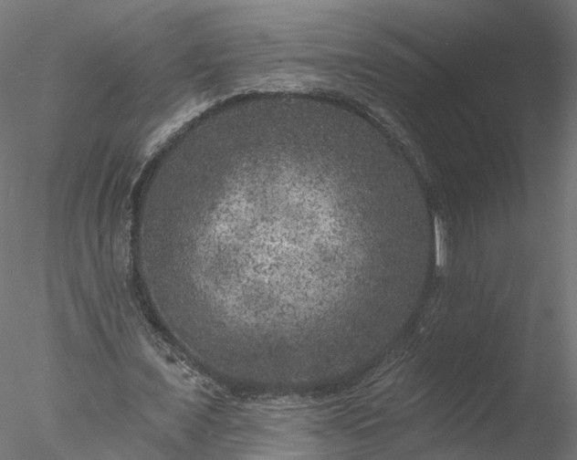 X0000077980675200611031400