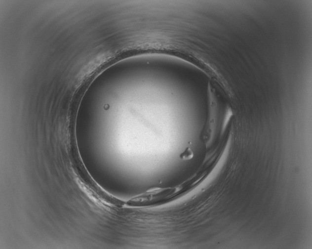 X0000077980677200611031400