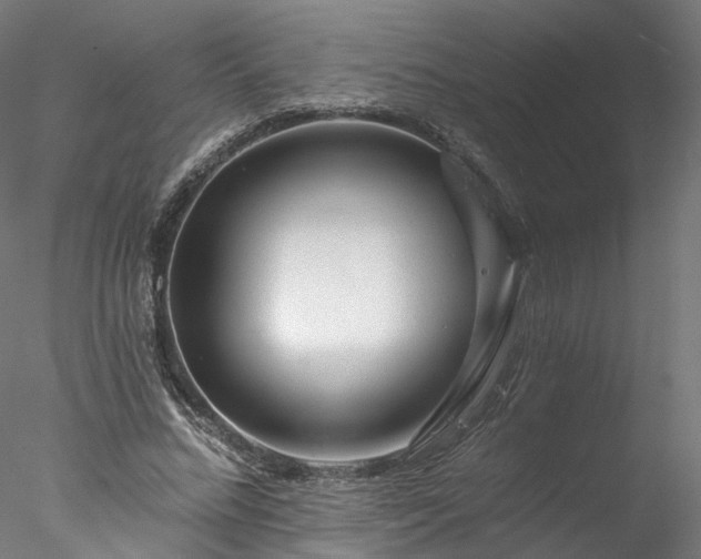 X0000077980684200611031400